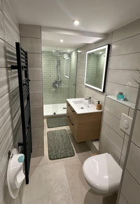 Le Briand Appartement 4Etoiles Nancy Thermal Cosy Avec Terrasse Wifi Kültér fotó